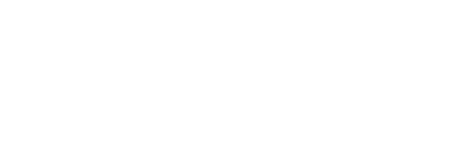 logo2